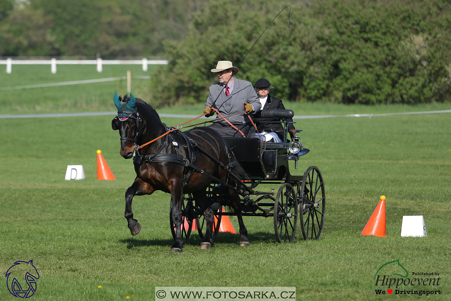 Kladruby 2018 - neděle parkur