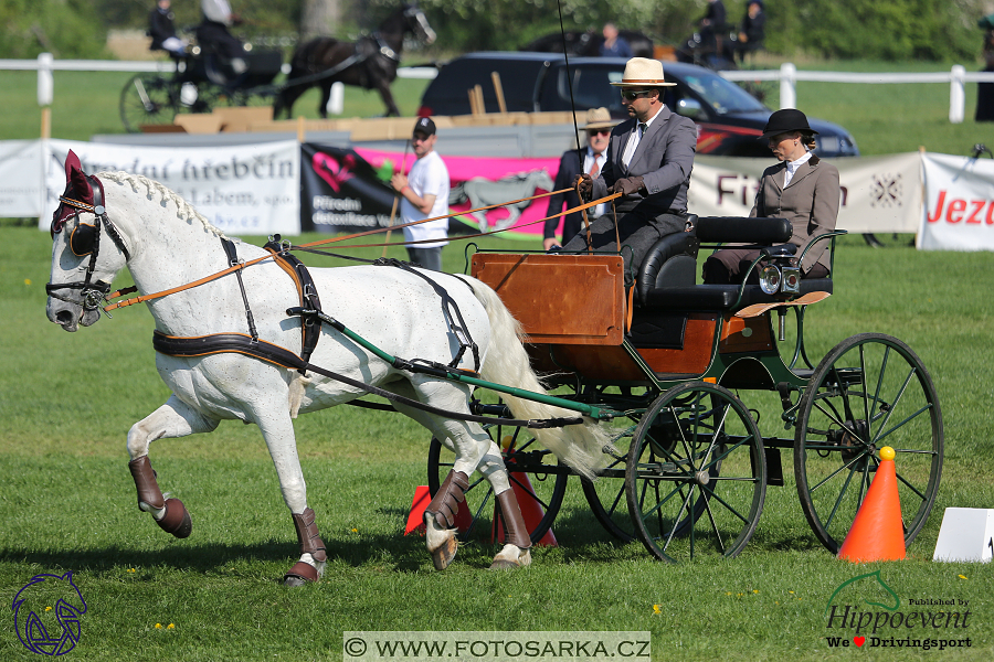 Kladruby 2018 - neděle parkur