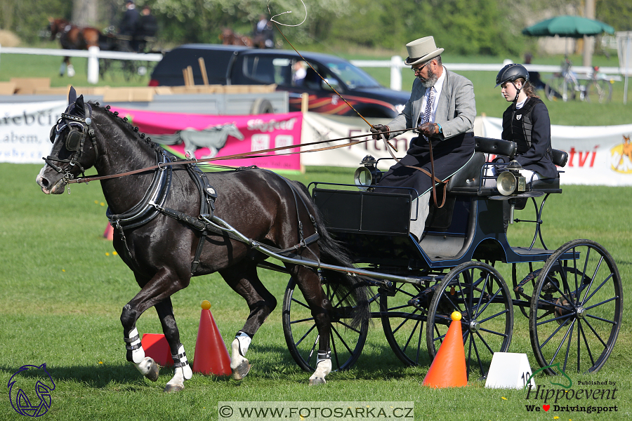 Kladruby 2018 - neděle parkur