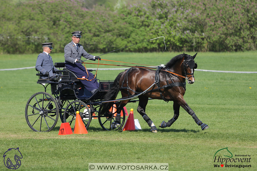 Kladruby 2018 - neděle parkur
