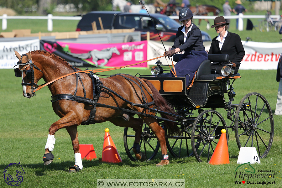 Kladruby 2018 - neděle parkur