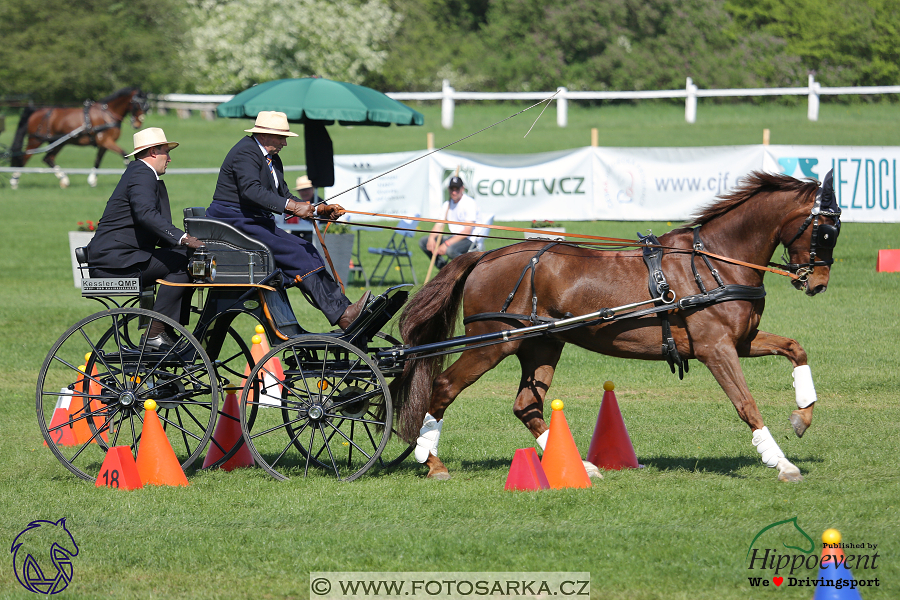 Kladruby 2018 - neděle parkur