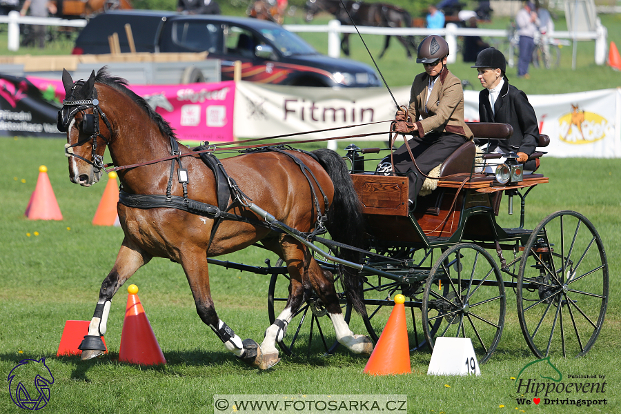 Kladruby 2018 - neděle parkur