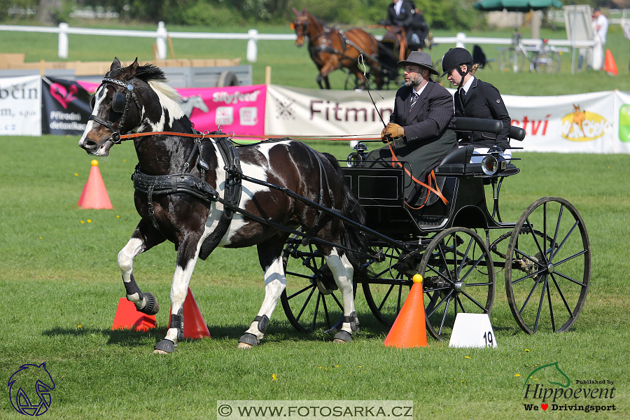 Kladruby 2018 - neděle parkur