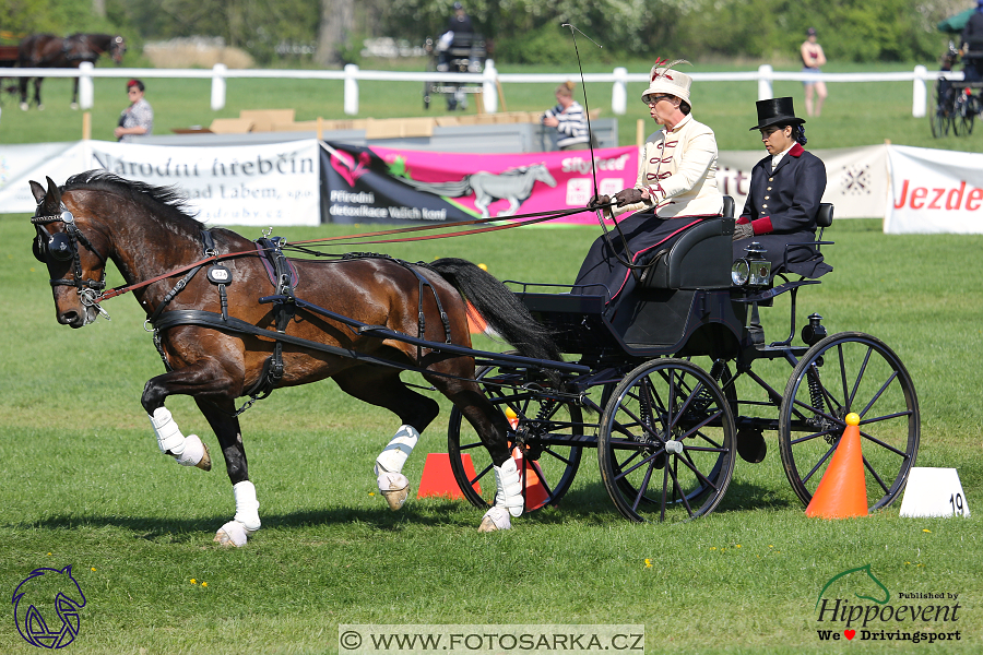 Kladruby 2018 - neděle parkur