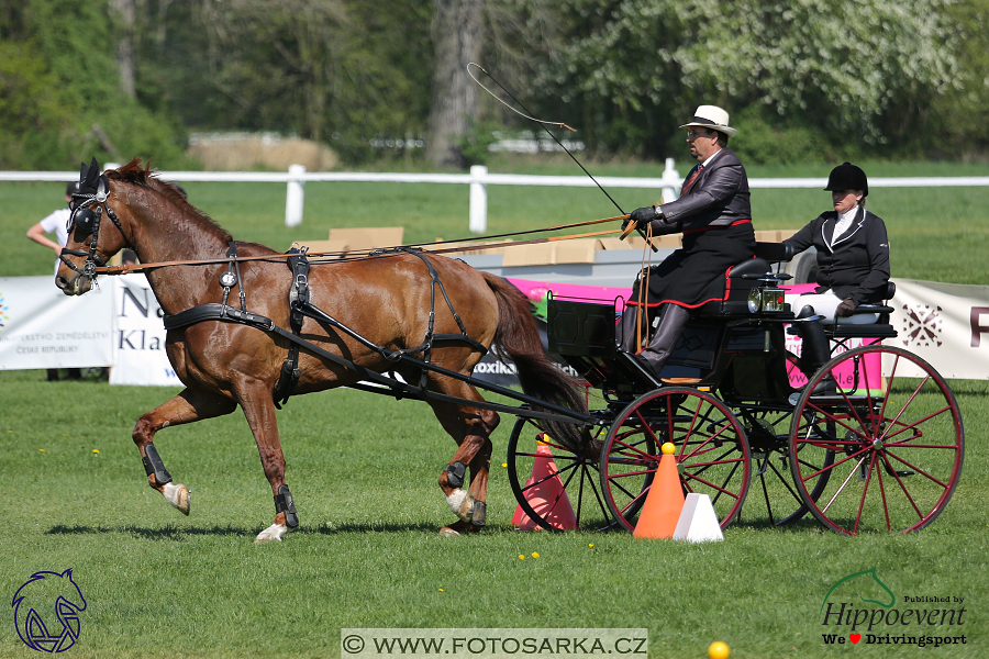 Kladruby 2018 - neděle parkur