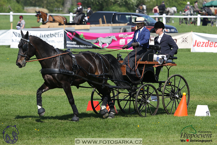 Kladruby 2018 - neděle parkur