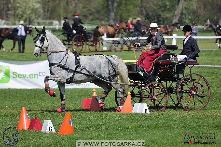 Kladruby 2018 - neděle parkur