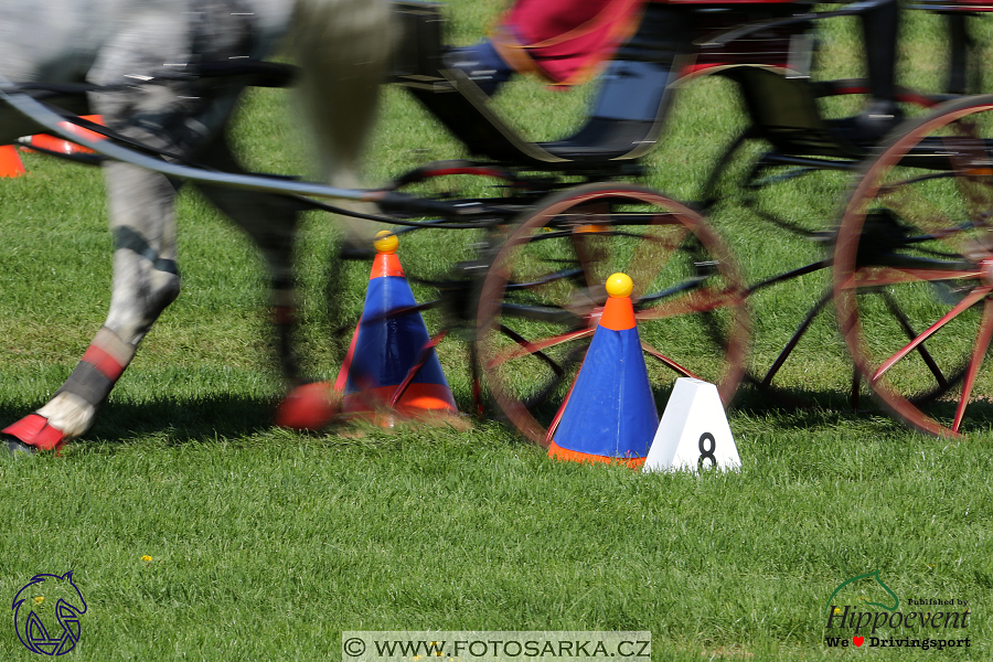 Kladruby 2018 - neděle parkur