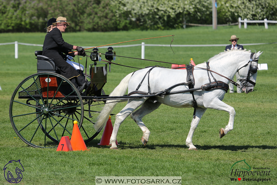 Kladruby 2018 - neděle parkur