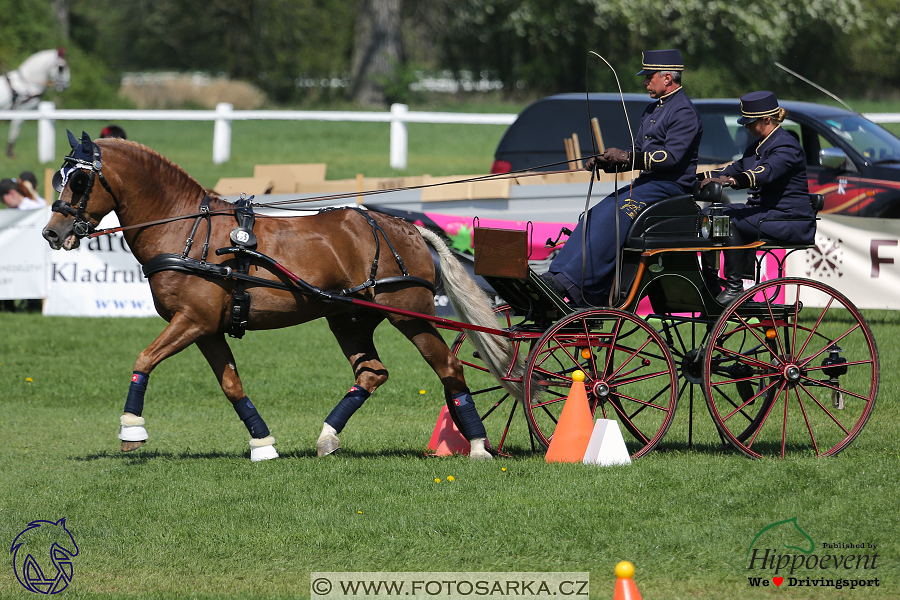 Kladruby 2018 - neděle parkur