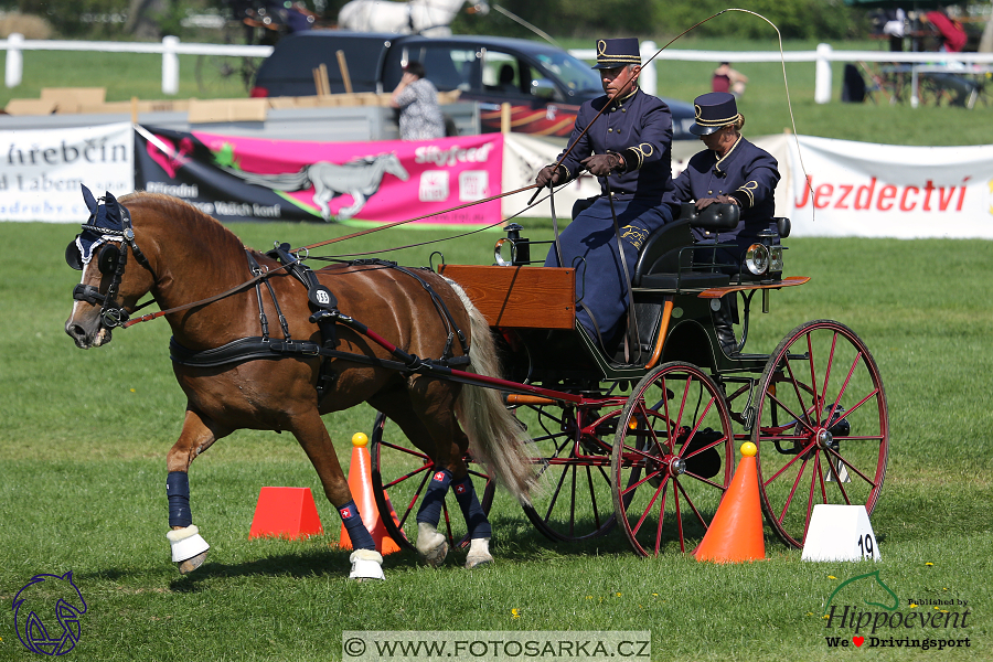 Kladruby 2018 - neděle parkur