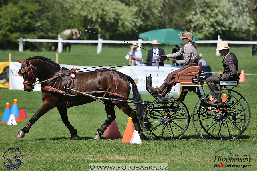 Kladruby 2018 - neděle parkur