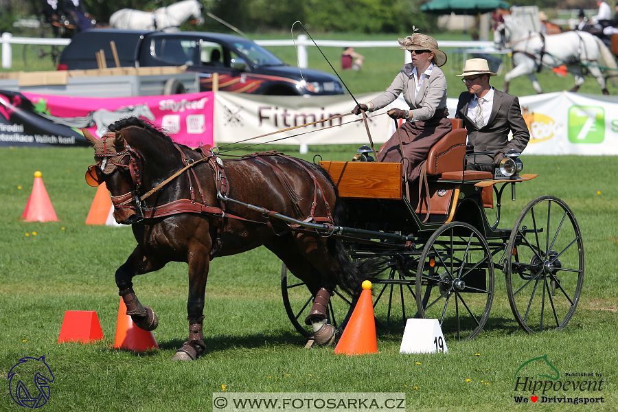 Kladruby 2018 - neděle parkur