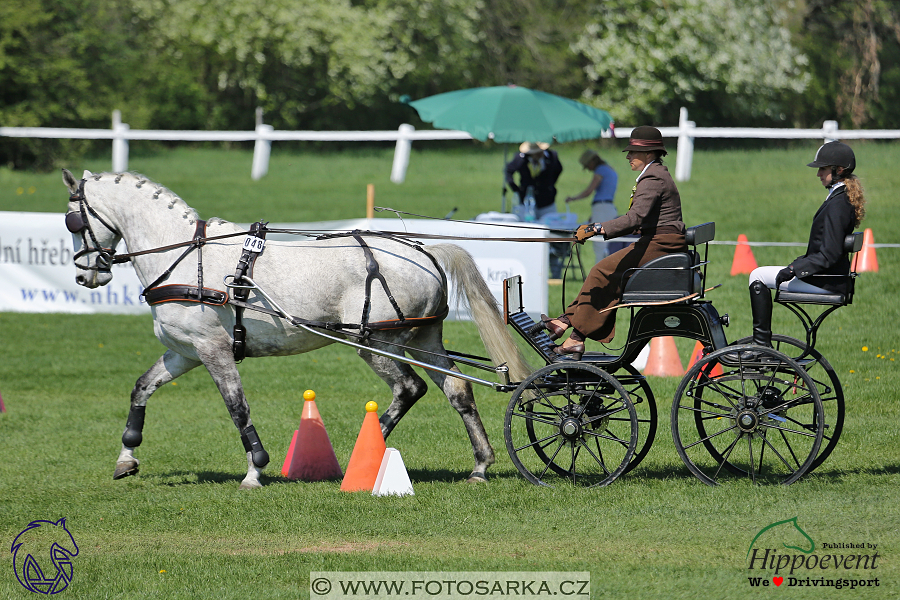 Kladruby 2018 - neděle parkur