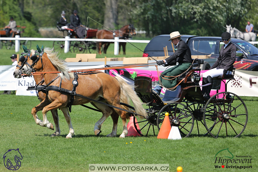 Kladruby 2018 - neděle parkur