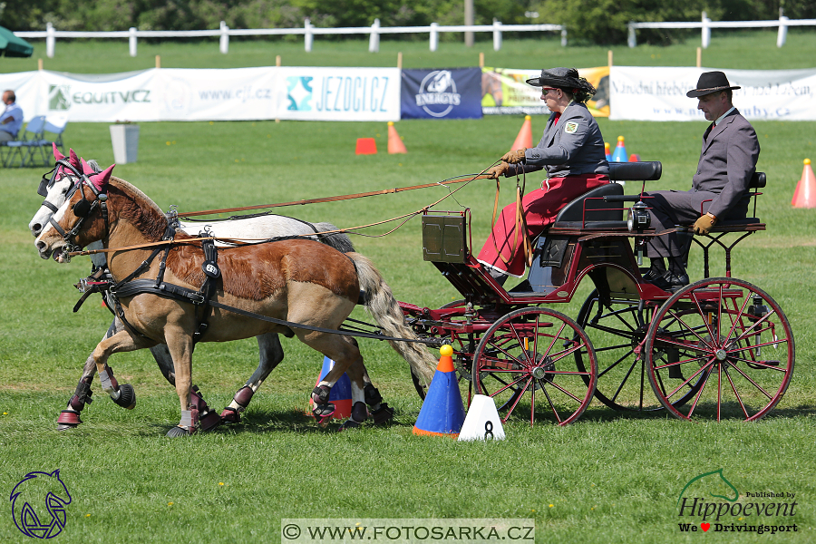 Kladruby 2018 - neděle parkur