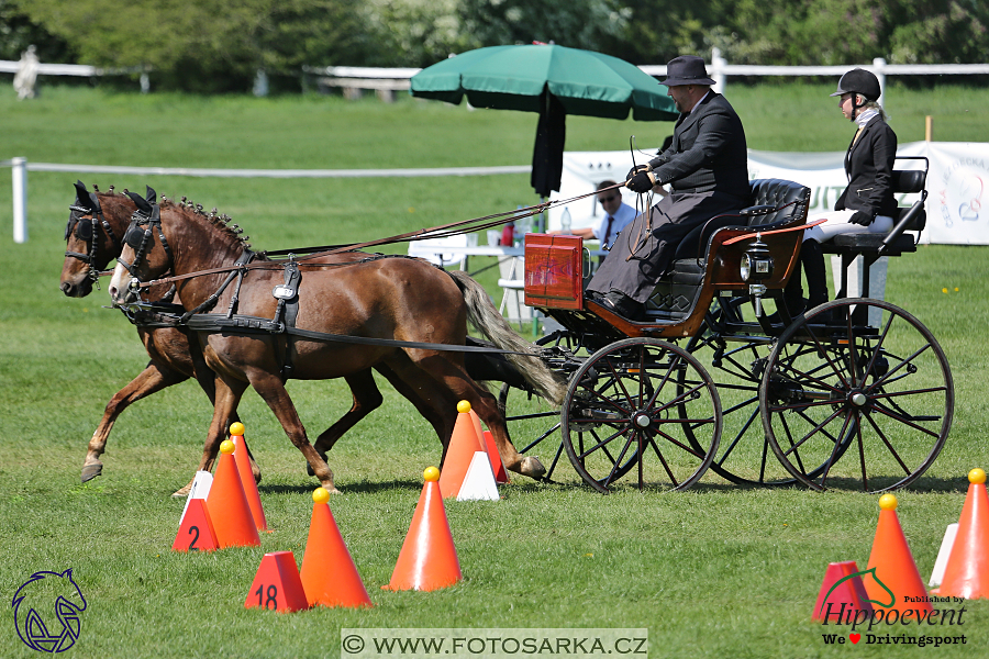 Kladruby 2018 - neděle parkur