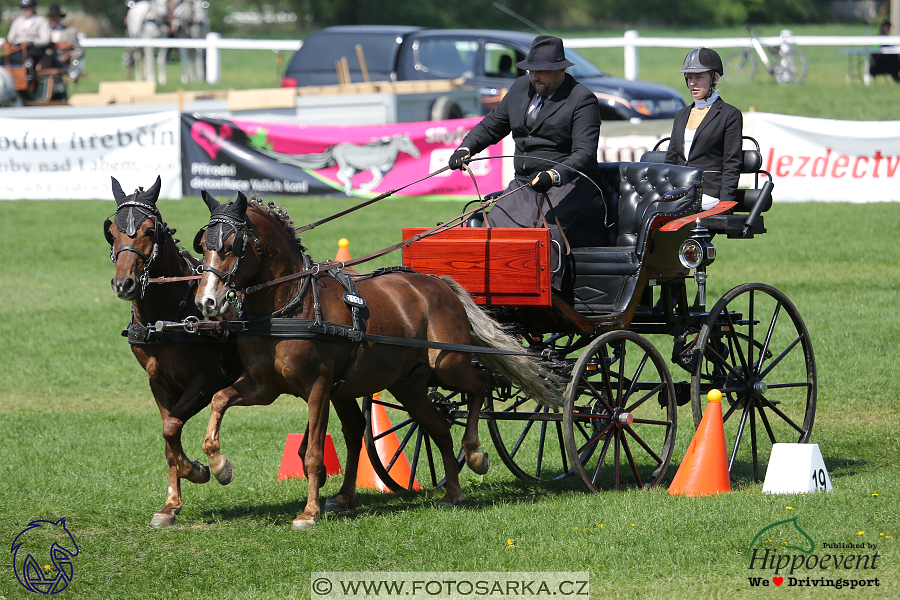 Kladruby 2018 - neděle parkur