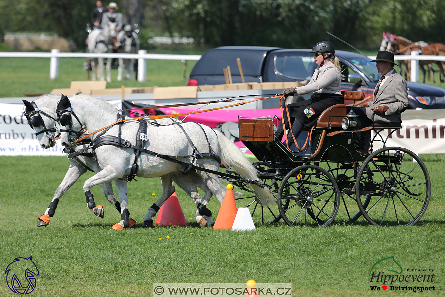 Kladruby 2018 - neděle parkur