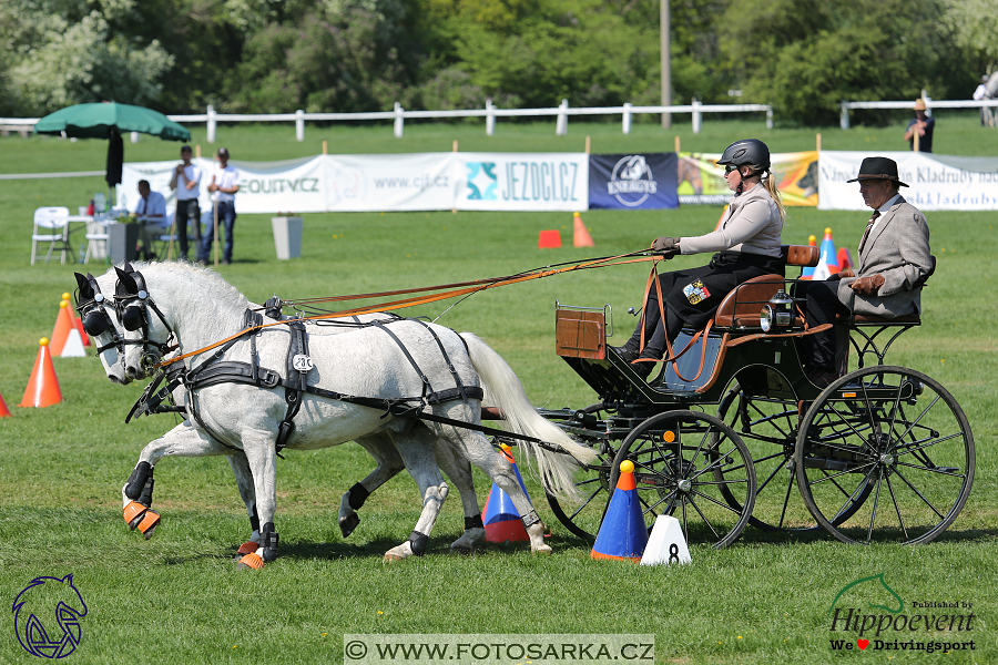 Kladruby 2018 - neděle parkur