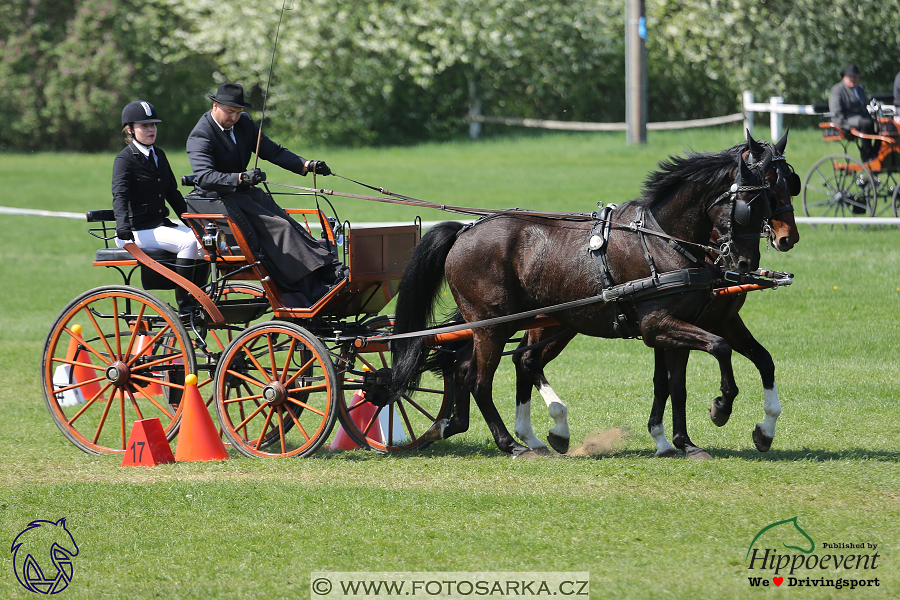 Kladruby 2018 - neděle parkur