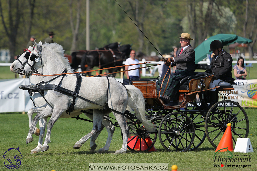 Kladruby 2018 - neděle parkur