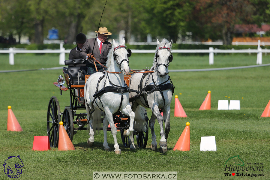 Kladruby 2018 - neděle parkur