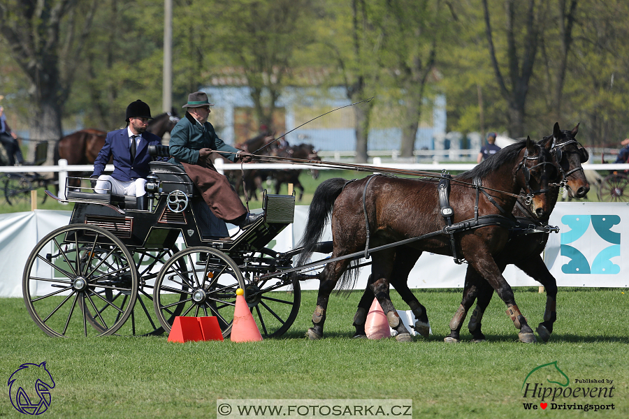 Kladruby 2018 - neděle parkur