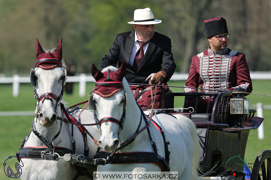 Kladruby 2018 - neděle parkur