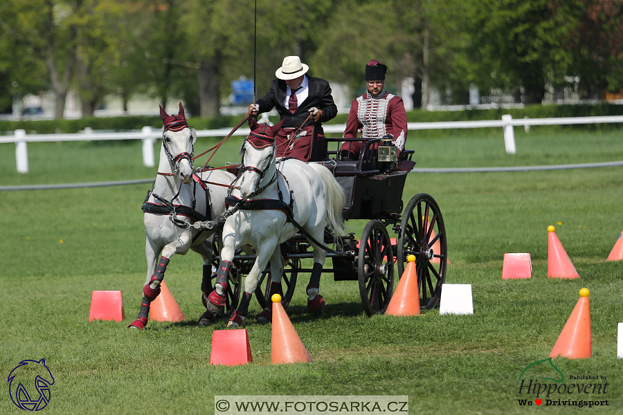 Kladruby 2018 - neděle parkur