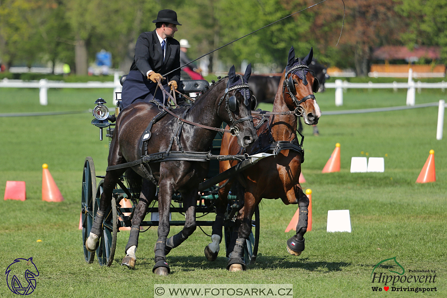 Kladruby 2018 - neděle parkur