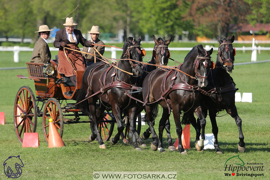 Kladruby 2018 - neděle parkur