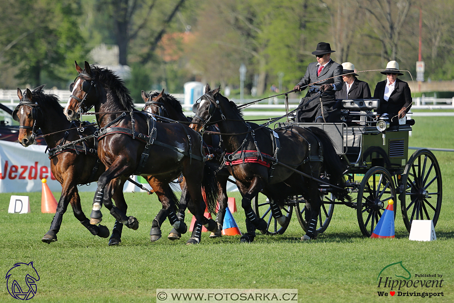 Kladruby 2018 - neděle parkur