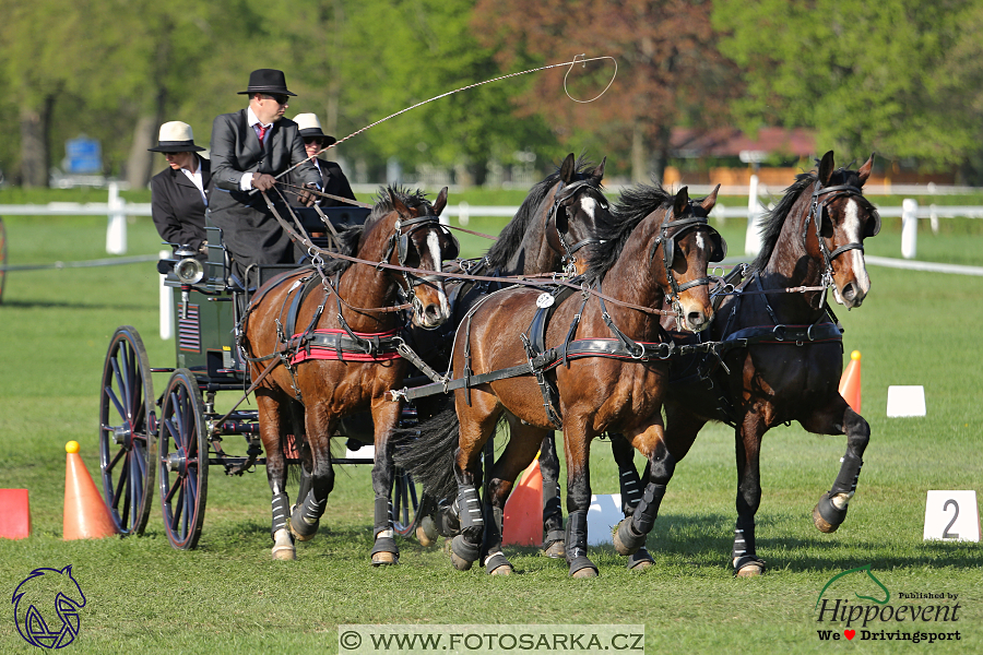 Kladruby 2018 - neděle parkur