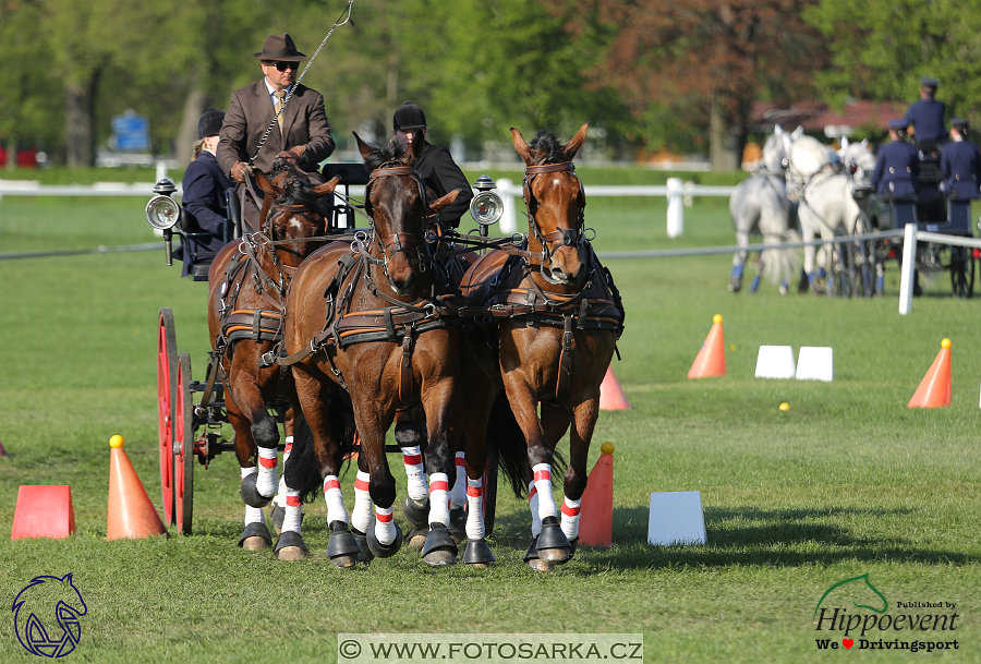 Kladruby 2018 - neděle parkur