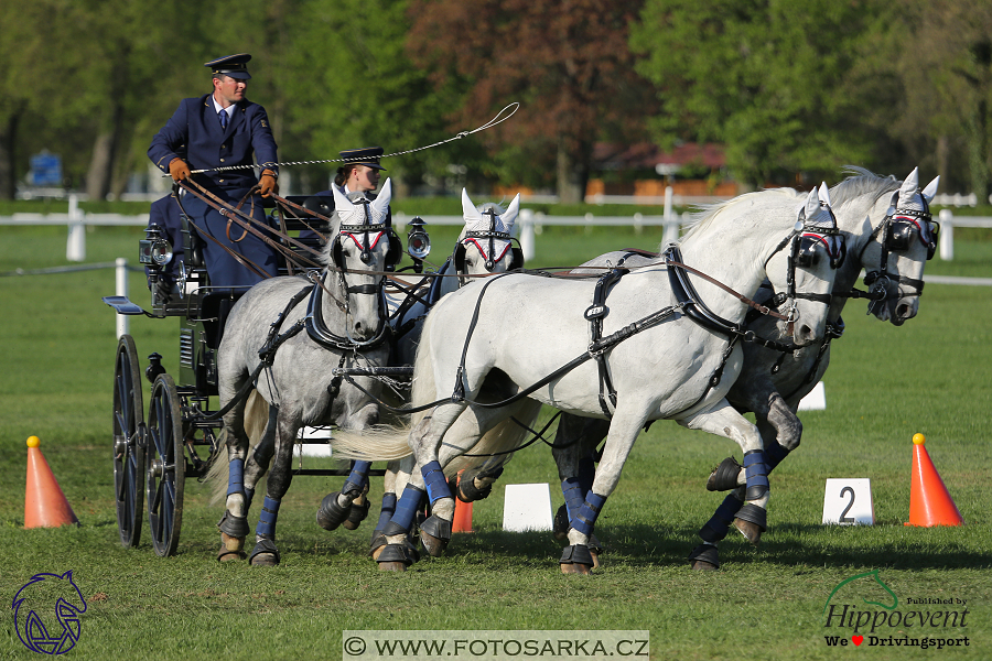 Kladruby 2018 - neděle parkur