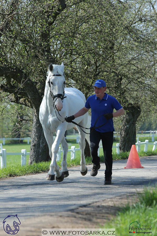 Kladruby 2018 - veterinární přejímka