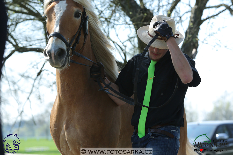 Kladruby 2018 - veterinární přejímka