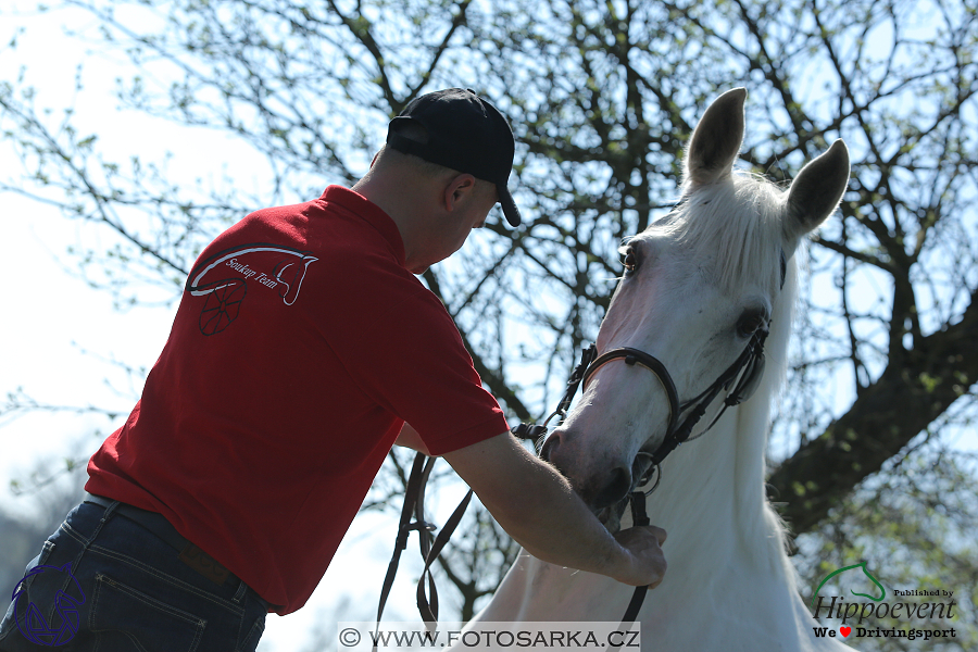 Kladruby 2018 - veterinární přejímka