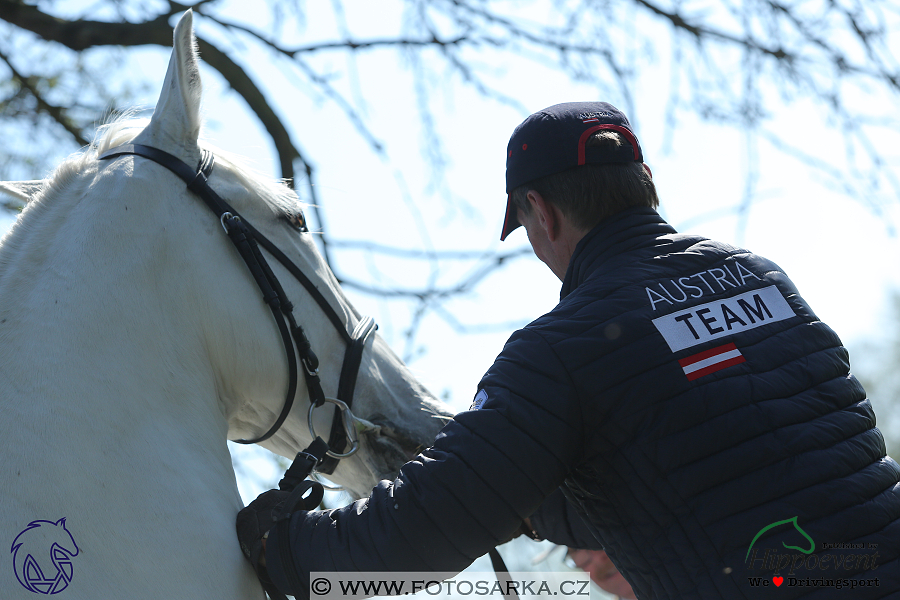 Kladruby 2018 - veterinární přejímka