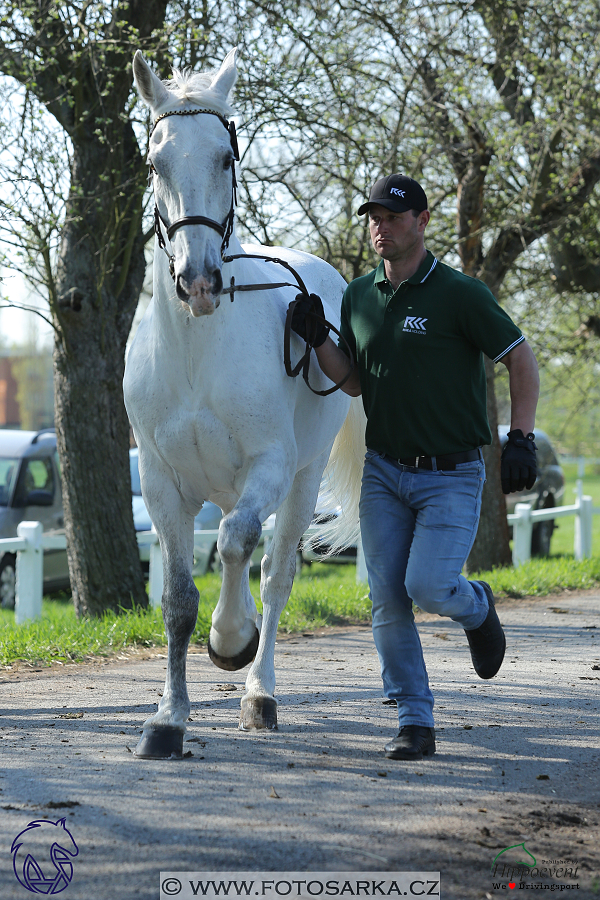 Kladruby 2018 - veterinární přejímka