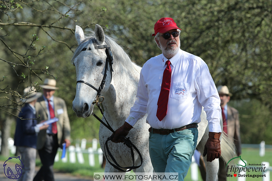 Kladruby 2018 - veterinární přejímka