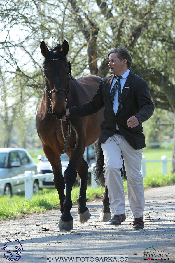 Kladruby 2018 - veterinární přejímka