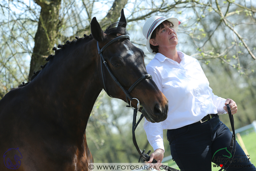 Kladruby 2018 - veterinární přejímka