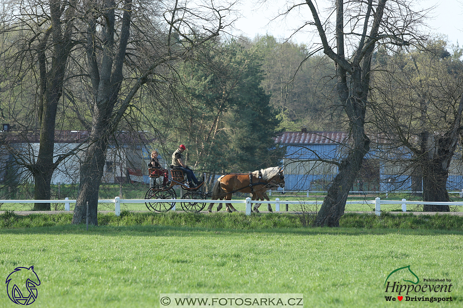 Kladruby 2018 - veterinární přejímka