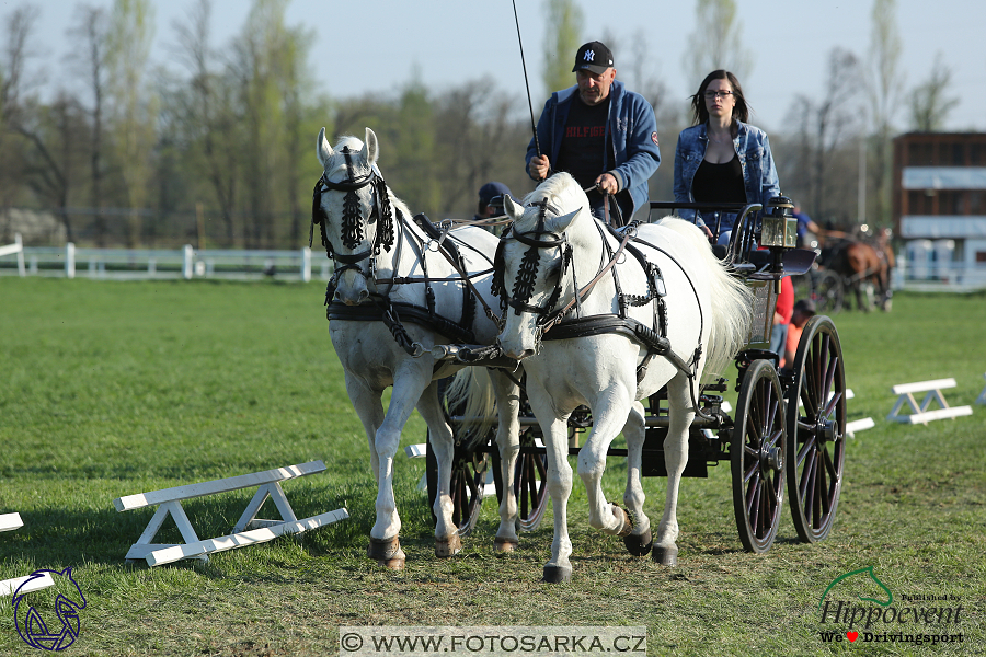 Kladruby 2018 - veterinární přejímka