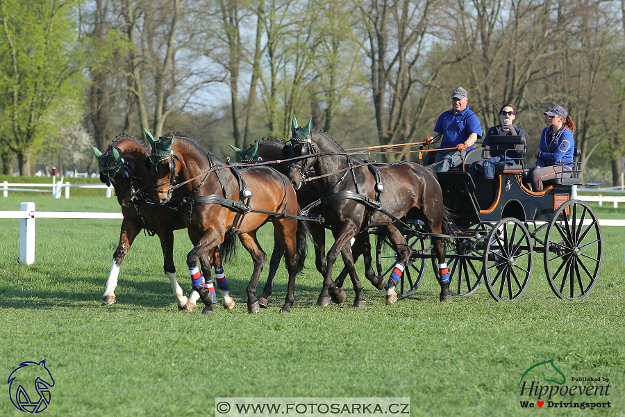 Kladruby 2018 - veterinární přejímka