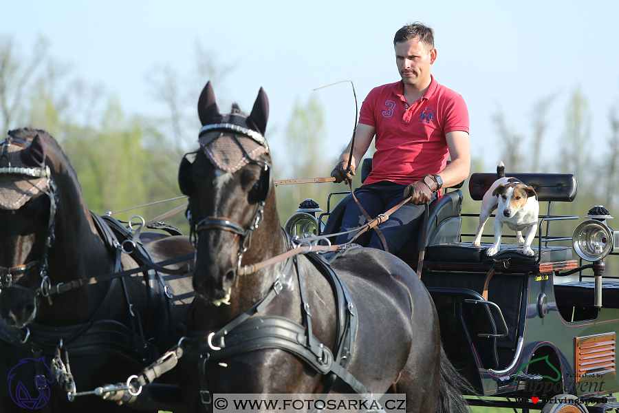 Kladruby 2018 - veterinární přejímka