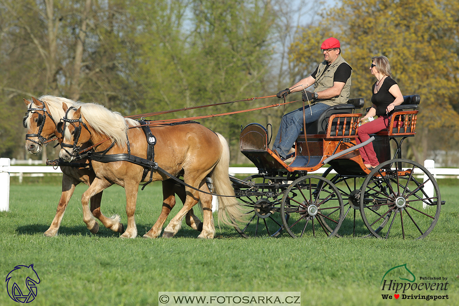 Kladruby 2018 - veterinární přejímka